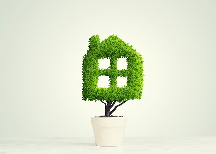 hanakat-maalampo-700x500px